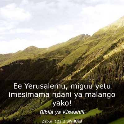 Picture 03 - Zaburi 122:2 SWHULB - Ee Yerusalemu, miguu yetu imesimama ndani ya - Bible Verse Picture
