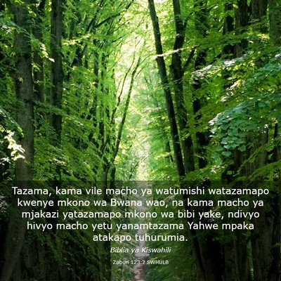 Picture 03 - Zaburi 123:2 SWHULB - Tazama, kama vile macho ya watumishi watazamapo - Bible Verse Picture