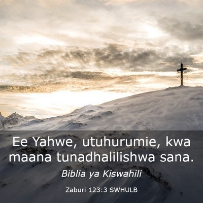 Picture 03 - Zaburi 123:3 SWHULB - Ee Yahwe, utuhurumie, kwa maana tunadhalilishwa - Bible Verse Picture