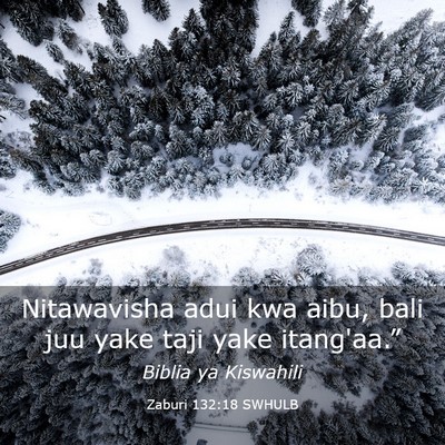 Picture 03 - Zaburi 132:18 SWHULB - Nitawavisha adui kwa aibu, bali juu yake taji - Bible Verse Picture