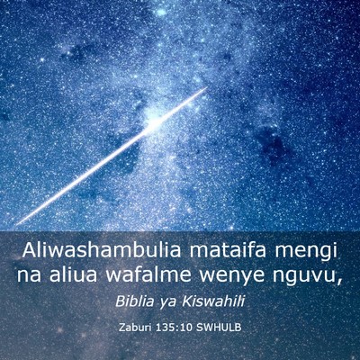 Picture 03 - Zaburi 135:10 SWHULB - Aliwashambulia mataifa mengi na aliua wafalme - Bible Verse Picture