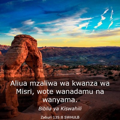 Picture 03 - Zaburi 135:8 SWHULB - Aliua mzaliwa wa kwanza wa Misri, wote wanadamu - Bible Verse Picture