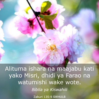 Picture 03 - Zaburi 135:9 SWHULB - Alituma ishara na maajabu kati yako Misri, dhidi - Bible Verse Picture
