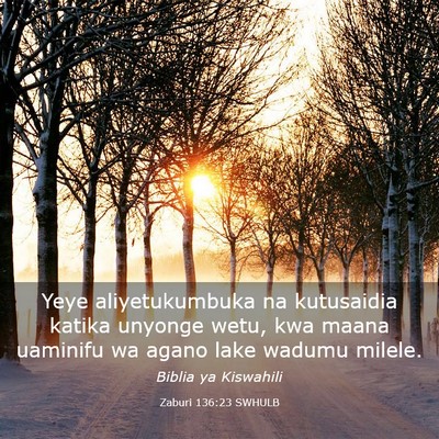 Picture 03 - Zaburi 136:23 SWHULB - Yeye aliyetukumbuka na kutusaidia katika unyonge - Bible Verse Picture