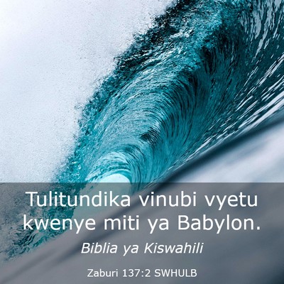 Picture 03 - Zaburi 137:2 SWHULB - Tulitundika vinubi vyetu kwenye miti ya - Bible Verse Picture