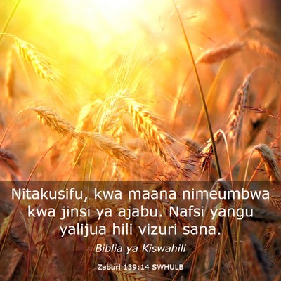 Picture 03 - Zaburi 139:14 SWHULB - Nitakusifu, kwa maana nimeumbwa kwa jinsi ya - Bible Verse Picture