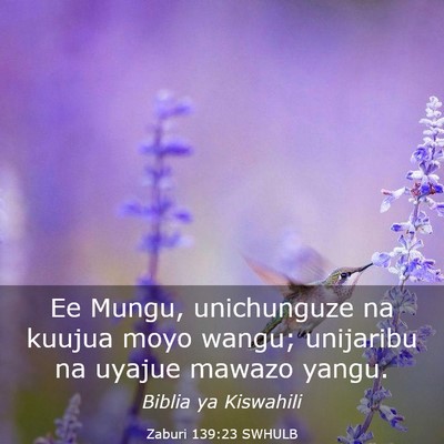 Picture 03 - Zaburi 139:23 SWHULB - Ee Mungu, unichunguze na kuujua moyo wangu; - Bible Verse Picture