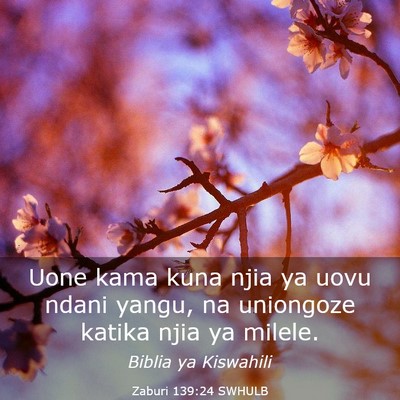 Picture 03 - Zaburi 139:24 SWHULB - Uone kama kuna njia ya uovu ndani yangu, na - Bible Verse Picture