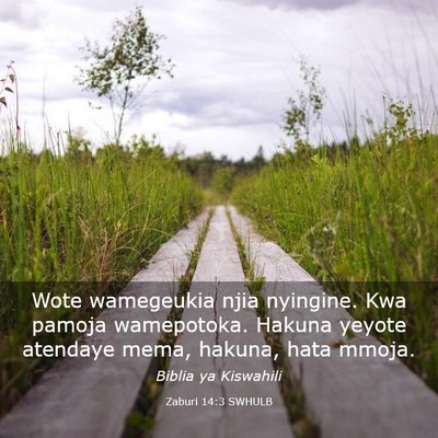 Picture 03 - Zaburi 14:3 SWHULB - Wote wamegeukia njia nyingine. Kwa pamoja - Bible Verse Picture