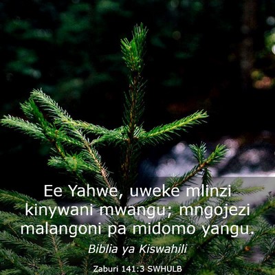 Picture 03 - Zaburi 141:3 SWHULB - Ee Yahwe, uweke mlinzi kinywani mwangu; mngojezi - Bible Verse Picture