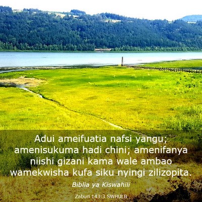 Picture 03 - Zaburi 143:3 SWHULB - Adui ameifuatia nafsi yangu; amenisukuma hadi - Bible Verse Picture