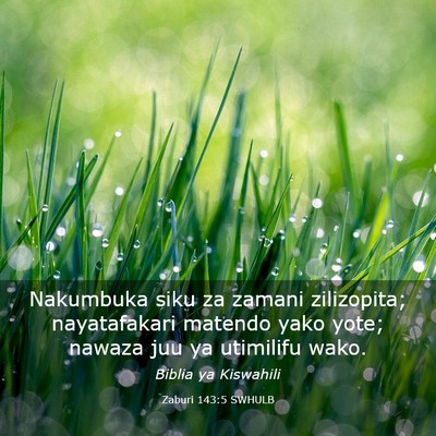 Picture 03 - Zaburi 143:5 SWHULB - Nakumbuka siku za zamani zilizopita; nayatafakari - Bible Verse Picture