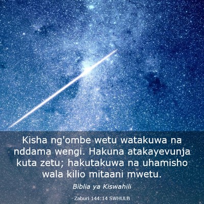 Picture 03 - Zaburi 144:14 SWHULB - Kisha ng'ombe wetu watakuwa na nddama wengi. - Bible Verse Picture