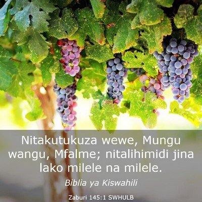 Picture 03 - Zaburi 145:1 SWHULB - Nitakutukuza wewe, Mungu wangu, Mfalme; - Bible Verse Picture