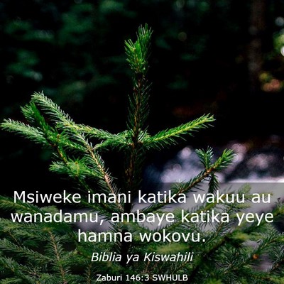Picture 03 - Zaburi 146:3 SWHULB - Msiweke imani katika wakuu au wanadamu, ambaye - Bible Verse Picture