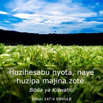 Picture 03 - Zaburi 147:4 SWHULB - Huzihesabu nyota, naye huzipa majina - Bible Verse Picture