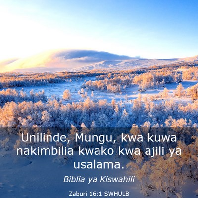 Picture 03 - Zaburi 16:1 SWHULB - Unilinde, Mungu, kwa kuwa nakimbilia kwako kwa - Bible Verse Picture