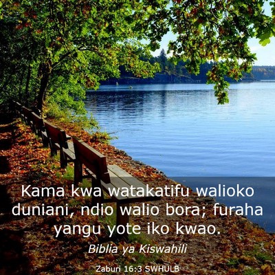 Picture 03 - Zaburi 16:3 SWHULB - Kama kwa watakatifu walioko duniani, ndio walio - Bible Verse Picture