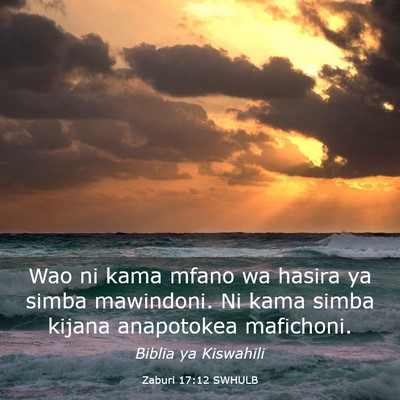 Picture 03 - Zaburi 17:12 SWHULB - Wao ni kama mfano wa hasira ya simba mawindoni. - Bible Verse Picture