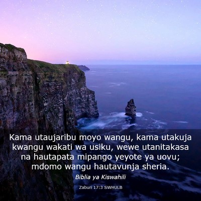 Picture 03 - Zaburi 17:3 SWHULB - Kama utaujaribu moyo wangu, kama utakuja kwangu - Bible Verse Picture