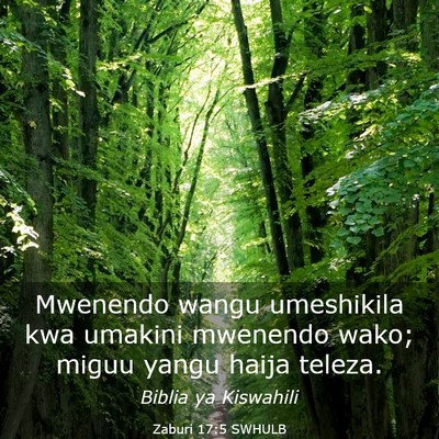 Picture 03 - Zaburi 17:5 SWHULB - Mwenendo wangu umeshikila kwa umakini mwenendo - Bible Verse Picture