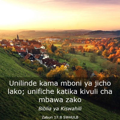 Picture 03 - Zaburi 17:8 SWHULB - Unilinde kama mboni ya jicho lako; unifiche - Bible Verse Picture