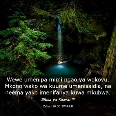 Picture 03 - Zaburi 18:35 SWHULB - Wewe umenipa mimi ngao ya wokovu. Mkono wako wa - Bible Verse Picture
