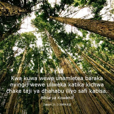 Picture 03 - Zaburi 21:3 SWHULB - Kwa kuwa wewe unamletea baraka nyingi; wewe - Bible Verse Picture