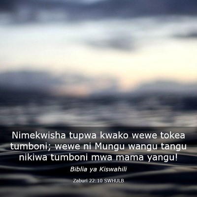 Picture 03 - Zaburi 22:10 SWHULB - Nimekwisha tupwa kwako wewe tokea tumboni; wewe - Bible Verse Picture