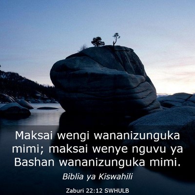 Picture 03 - Zaburi 22:12 SWHULB - Maksai wengi wananizunguka mimi; maksai wenye - Bible Verse Picture