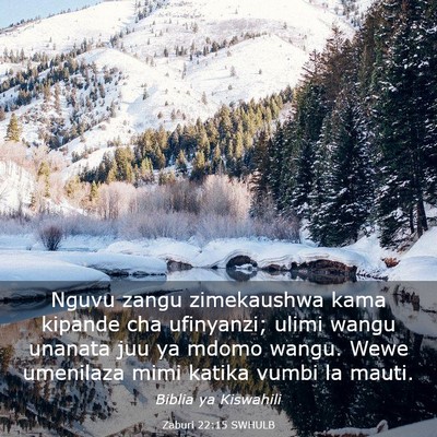 Picture 03 - Zaburi 22:15 SWHULB - Nguvu zangu zimekaushwa kama kipande cha - Bible Verse Picture