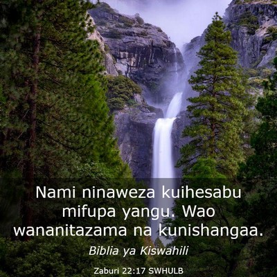 Picture 03 - Zaburi 22:17 SWHULB - Nami ninaweza kuihesabu mifupa yangu. Wao - Bible Verse Picture