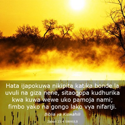 Picture 03 - Zaburi 23:4 SWHULB - Hata ijapokuwa nikipita katika bonde la uvuli na - Bible Verse Picture