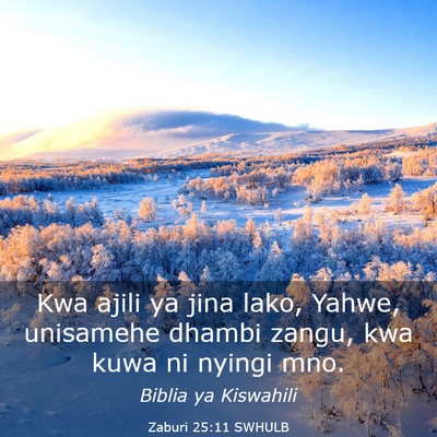 Picture 03 - Zaburi 25:11 SWHULB - Kwa ajili ya jina lako, Yahwe, unisamehe dhambi - Bible Verse Picture