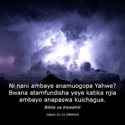 Picture 03 - Zaburi 25:12 SWHULB - Ni nani ambaye anamuogopa Yahwe? Bwana - Bible Verse Picture