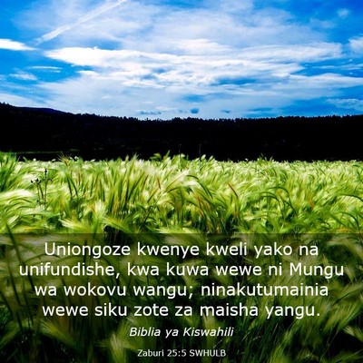 Picture 03 - Zaburi 25:5 SWHULB - Uniongoze kwenye kweli yako na unifundishe, kwa - Bible Verse Picture