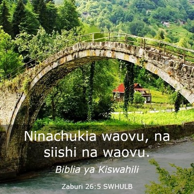 Picture 03 - Zaburi 26:5 SWHULB - Ninachukia waovu, na siishi na - Bible Verse Picture
