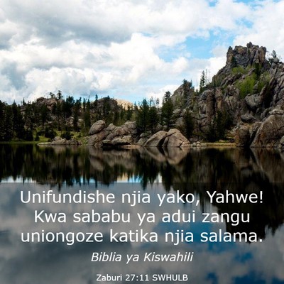 Picture 03 - Zaburi 27:11 SWHULB - Unifundishe njia yako, Yahwe! Kwa sababu ya adui - Bible Verse Picture