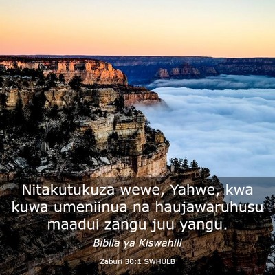 Picture 03 - Zaburi 30:1 SWHULB - Nitakutukuza wewe, Yahwe, kwa kuwa umeniinua na - Bible Verse Picture