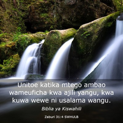 Picture 03 - Zaburi 31:4 SWHULB - Unitoe katika mtego ambao wameuficha kwa ajili - Bible Verse Picture