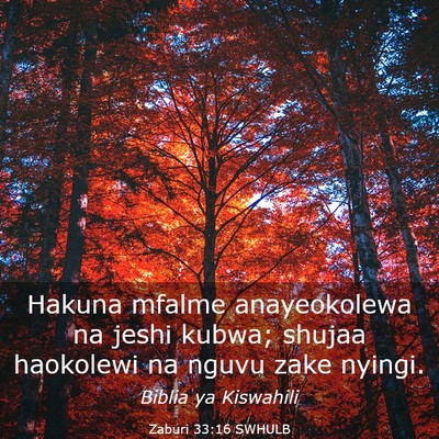 Picture 03 - Zaburi 33:16 SWHULB - Hakuna mfalme anayeokolewa na jeshi kubwa; shujaa - Bible Verse Picture