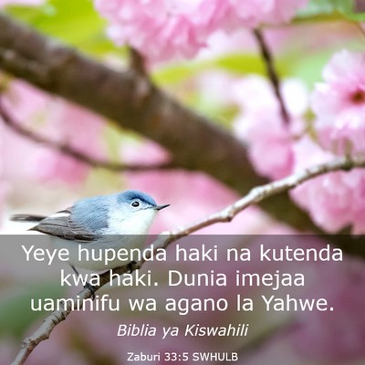 Picture 03 - Zaburi 33:5 SWHULB - Yeye hupenda haki na kutenda kwa haki. Dunia - Bible Verse Picture