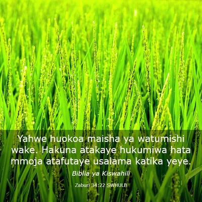 Picture 03 - Zaburi 34:22 SWHULB - Yahwe huokoa maisha ya watumishi wake. Hakuna - Bible Verse Picture