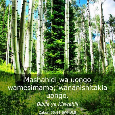 Picture 03 - Zaburi 35:11 SWHULB - Mashahidi wa uongo wamesimama; wananishitakia - Bible Verse Picture