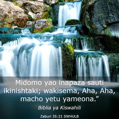 Picture 03 - Zaburi 35:21 SWHULB - Midomo yao inapaza sauti ikinishtaki; wakisema, - Bible Verse Picture