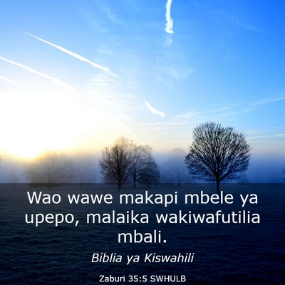 Picture 03 - Zaburi 35:5 SWHULB - Wao wawe makapi mbele ya upepo, malaika - Bible Verse Picture