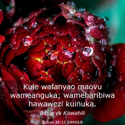 Picture 03 - Zaburi 36:12 SWHULB - Kule wafanyao maovu wameanguka; wameharibiwa - Bible Verse Picture