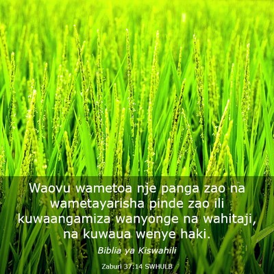 Picture 03 - Zaburi 37:14 SWHULB - Waovu wametoa nje panga zao na wametayarisha - Bible Verse Picture