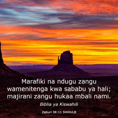 Picture 03 - Zaburi 38:11 SWHULB - Marafiki na ndugu zangu wamenitenga kwa sababu ya - Bible Verse Picture