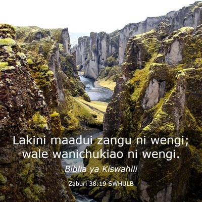 Picture 03 - Zaburi 38:19 SWHULB - Lakini maadui zangu ni wengi; wale wanichukiao ni - Bible Verse Picture
